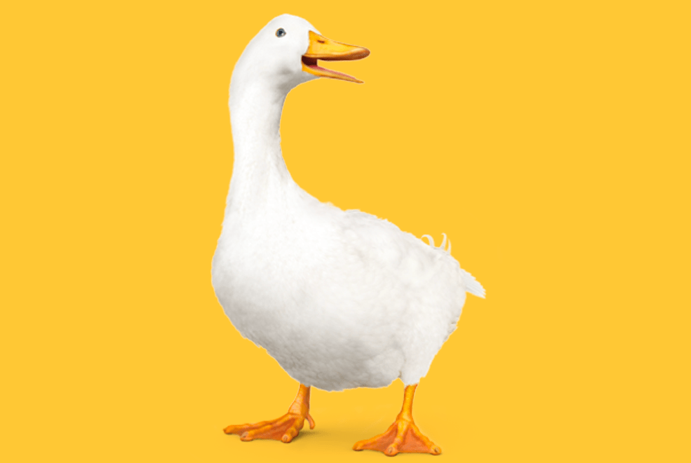 Effective Brand Mascots: What Neuroscience Can Teach Advertisers